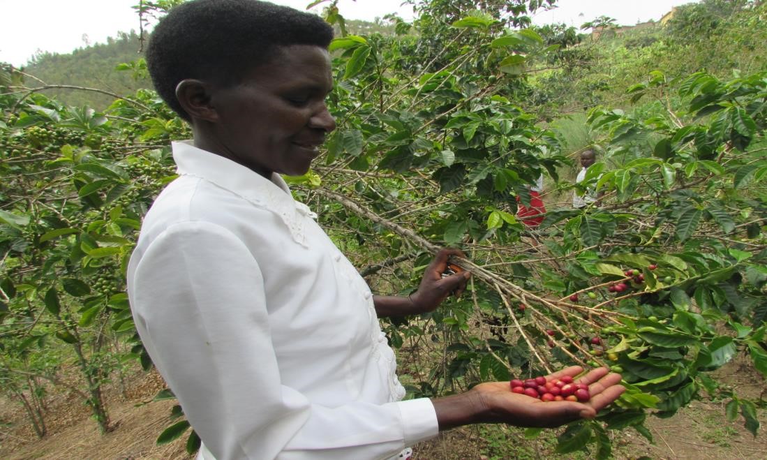 Scholastique MUJAWAYEZU