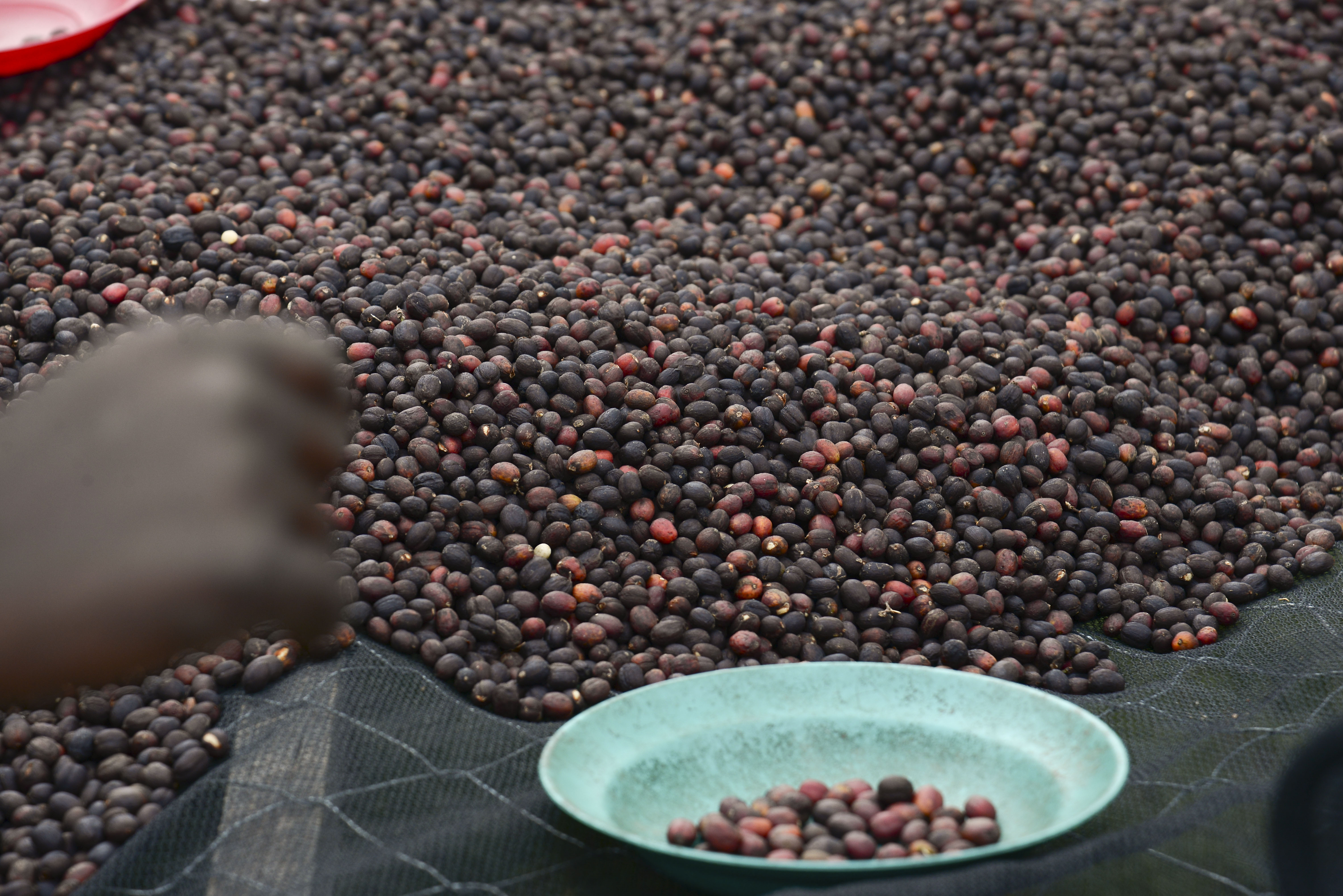 Testimonials Background